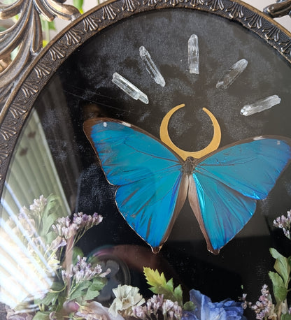 Morpho moon