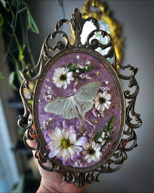 Lavender luna bubble glass