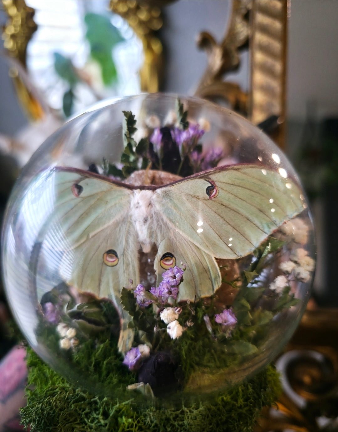 1 Double mirror sconce