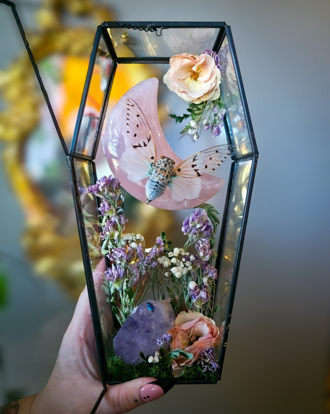 1 Ghost cicada coffin