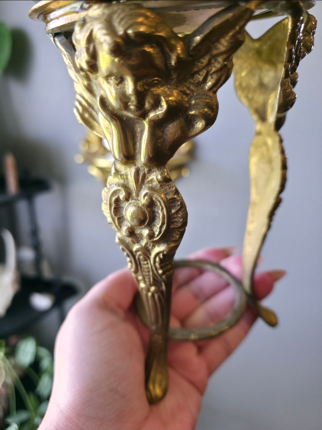 Cherub morpho