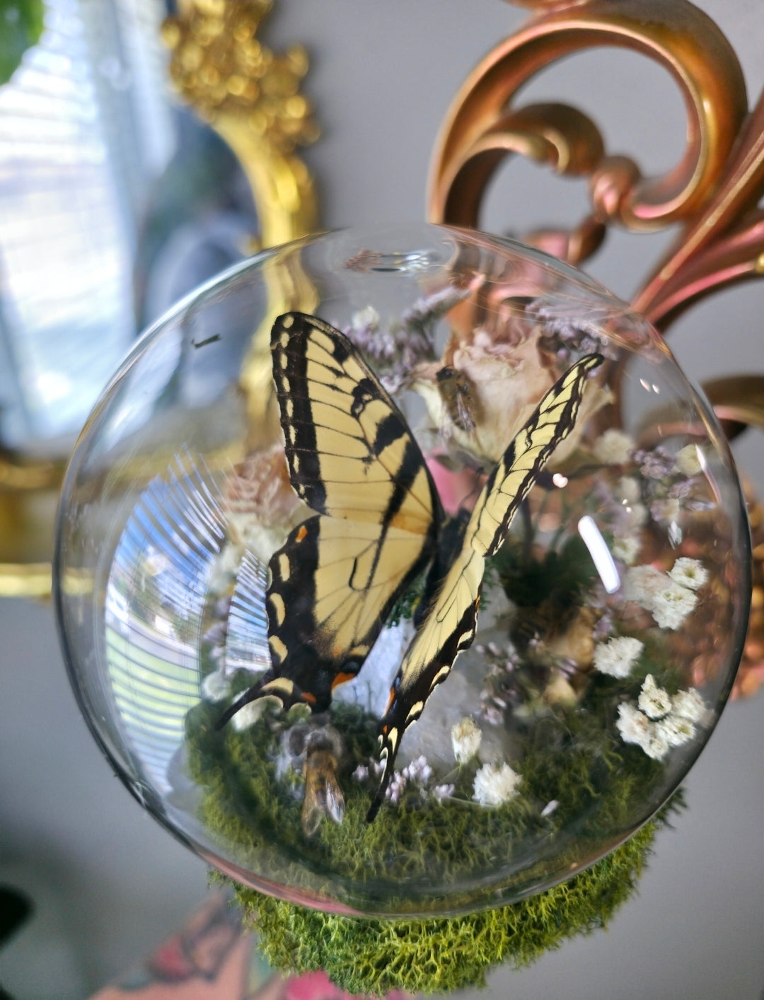 Swallowtail sconce