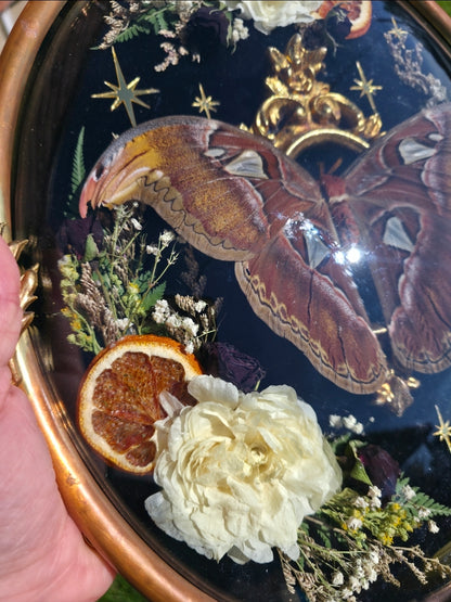 Atlas 🍊